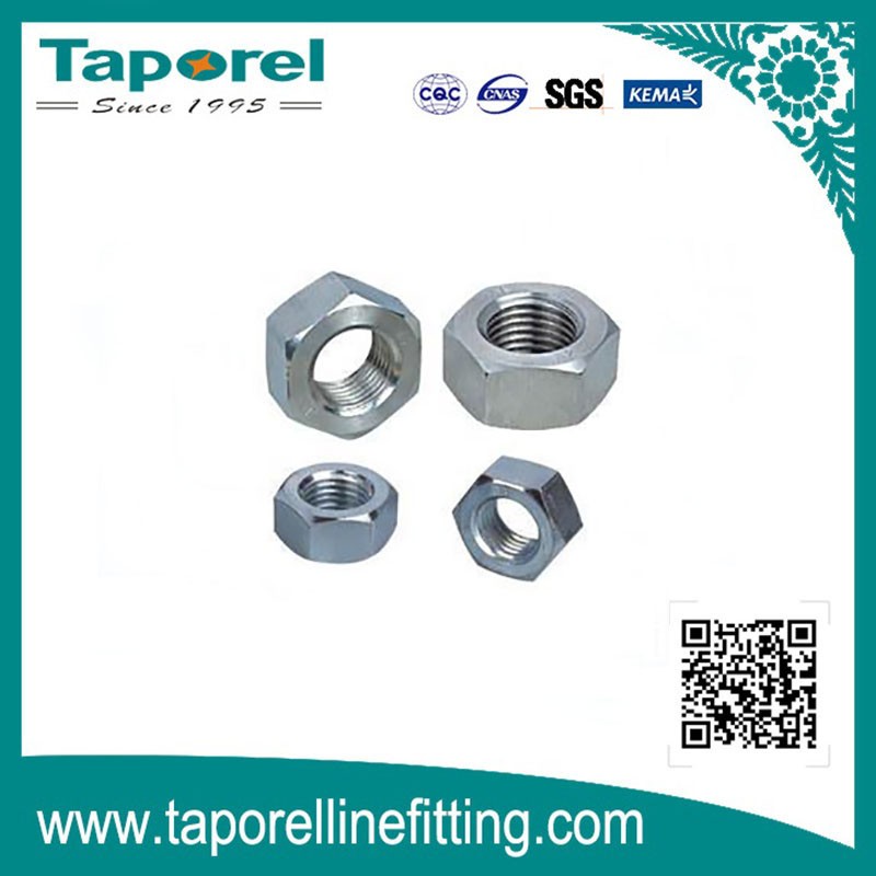 Galvanized Steel Nut